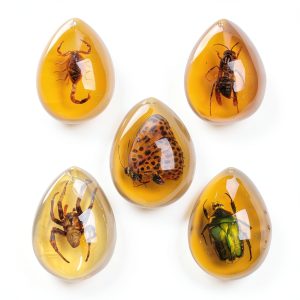 Acxico 5pcs Amber Fossil with Insects Samples Stones Crystal Specimens Home Decorations Collection Oval Pendant (Green Armor + Scorpion + Flower Butterfly + Wasp + Spider)-0