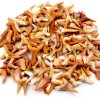 Shark Teeth Fossils 1lb – Dancing Bear A&B Moroccan Paleocene-2
