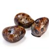 Petoskey Stone (Polished) Rock Hexagonaria | Beautiful Fossil with Nice Gift Bag-1