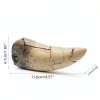 T rex Tooth, Dinosaur Teeth, Resin Tyrannosaurus Toothy Direct Cast Replica, Mosasaurus Spinosaurus Trex Fossils Model for Necklace, Fossilized Various Prehistoric Dinosaurs High-Fidelity Replicas-1