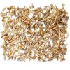 1/2 LB Shark Teeth Bulk Fossils Wholesale - Real Authentic Shark Tooth - High Grade Fossils-4