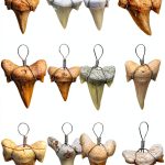 Fun-Weevz Real Fossil Shark Teeth for Jewelry Making, Assorted Sharks Tooth Pendant Jewelry Accessories for Necklace, Small Bulk Lot Assorted Size and Color Wire Wrapped Fossils-0