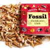 Shark Teeth Fossils 1lb – Dancing Bear A&B Moroccan Paleocene-1